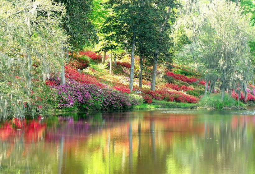 Hotel Middleton Inn  | Charleston | South Carolina | United States 2