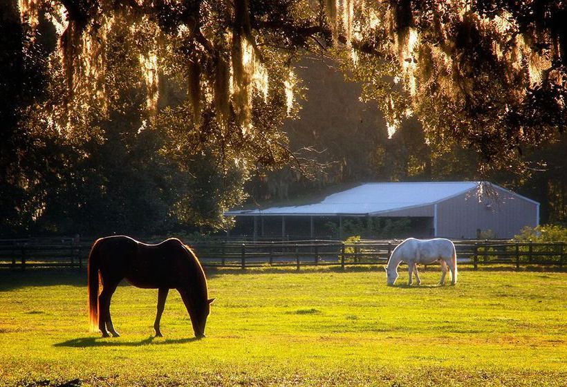 Hotel Middleton Inn  | Charleston | South Carolina | United States 8
