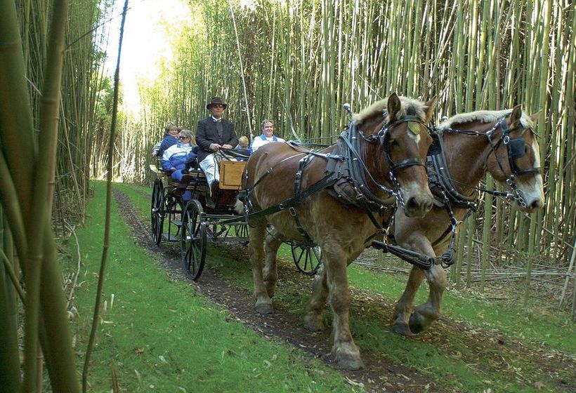 Hotel Middleton Inn  | Charleston | South Carolina | United States 9