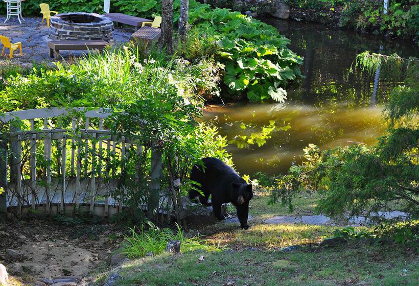 Nordic Village Resort  | Jackson | New Hampshire | United States 11