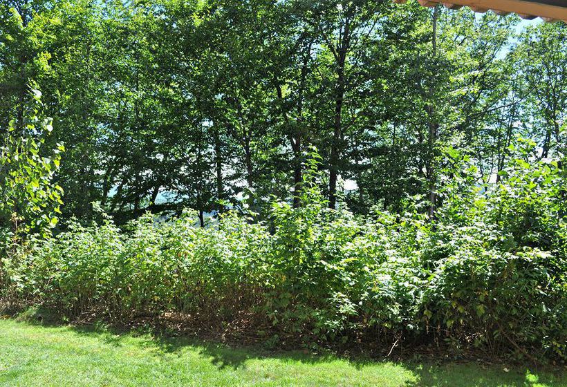 Nordic Village Resort  | Jackson | New Hampshire | United States 2