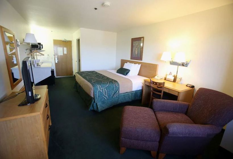 Hotel Oak Tree Inn  | Dexter | Missouri | United States 4