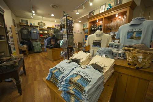 Hôtel Peaks Of Otter Lodge 