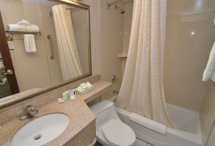 Hotel Comfort Inn Pocono Mountain Lodge 