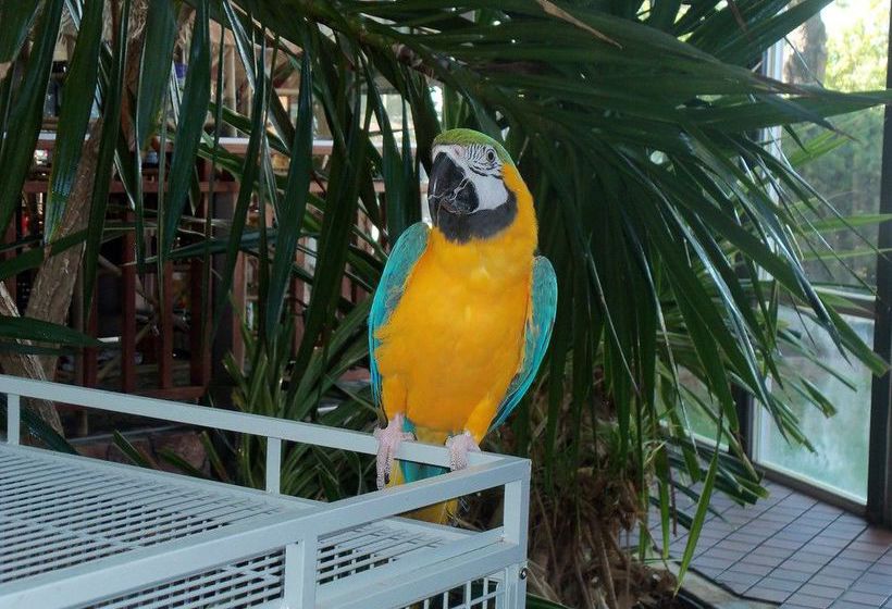 Hotel Quality Inn Mount Rushmore Rapid City