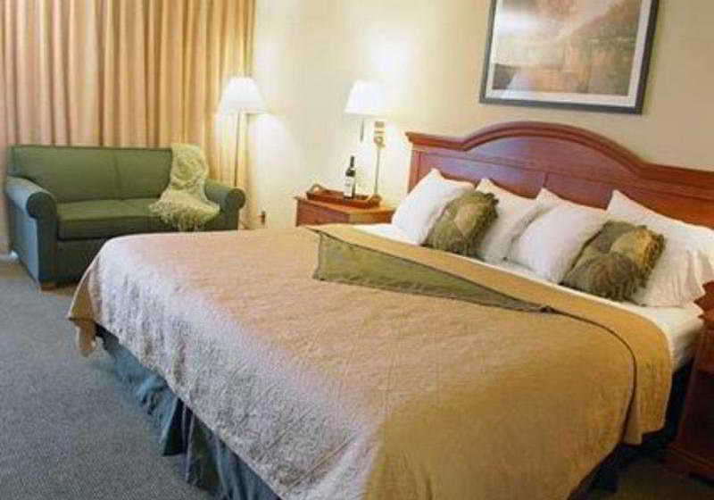 Hotel Quality Inn Mount Rushmore  | Rapid City | South Dakota | United States 7