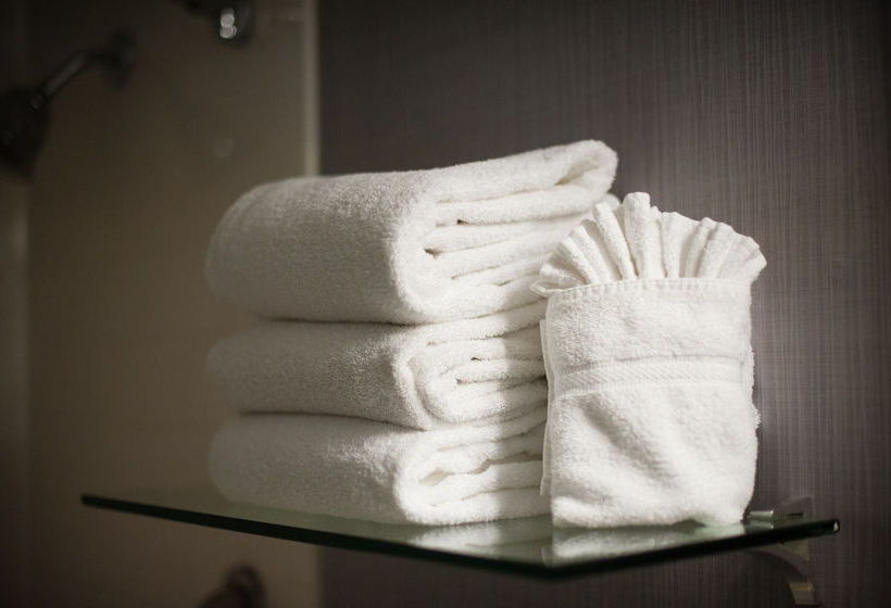 Hotel Holiday Inn Denver East Stapleton  | Denver | Colorado | United States 11