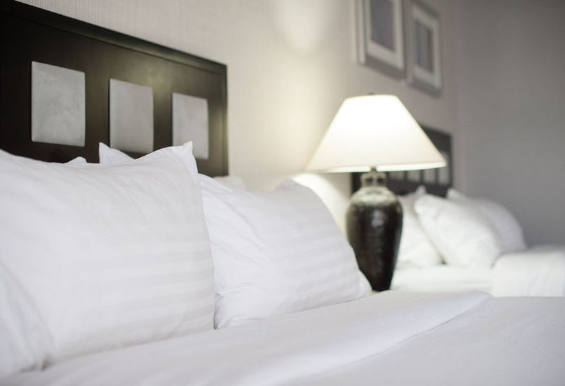 Hotel Holiday Inn Denver East Stapleton  | Denver | Colorado | United States 12