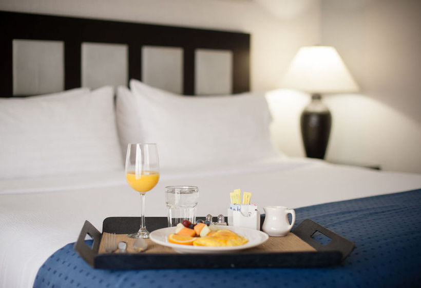 Hotel Holiday Inn Denver East Stapleton  | Denver | Colorado | United States 16