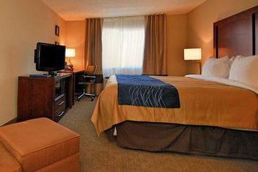 Hotel Econo Lodge Inn & Suites Albuquerque Airport  | Albuquerque | New Mexico | United States 5
