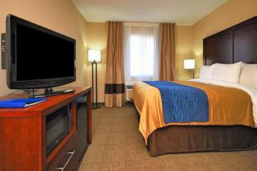 Hotel Econo Lodge Inn & Suites Albuquerque Airport  | Albuquerque | New Mexico | United States 6