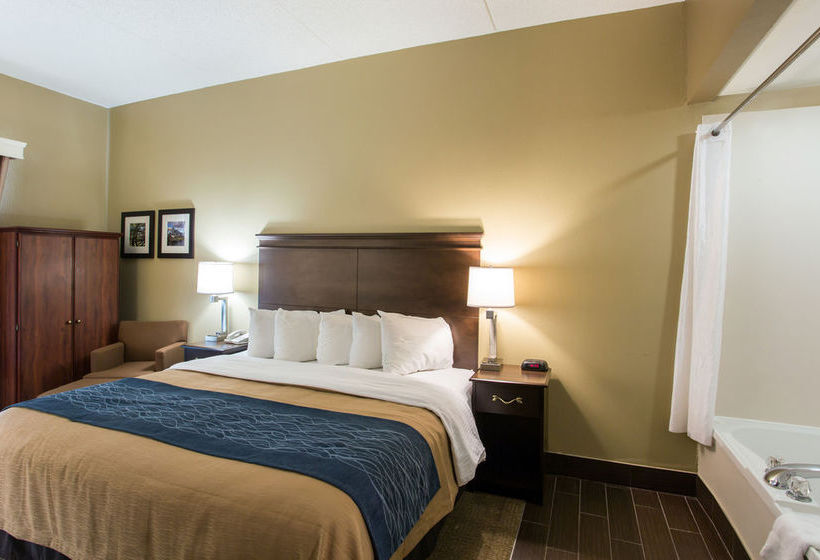 Hotel Comfort Inn & Suites Cookeville  | Cookeville | Tennessee | United States 7