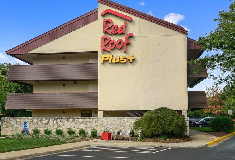 Hotel Red Roof Inn  | Manassas | Virginia | United States 16