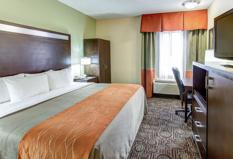 Hotel Comfort Inn Chandler