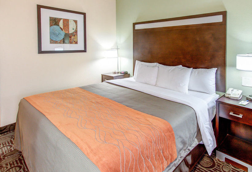 Hotel Comfort Inn Chandler  | Chandler | Arizona | United States 1