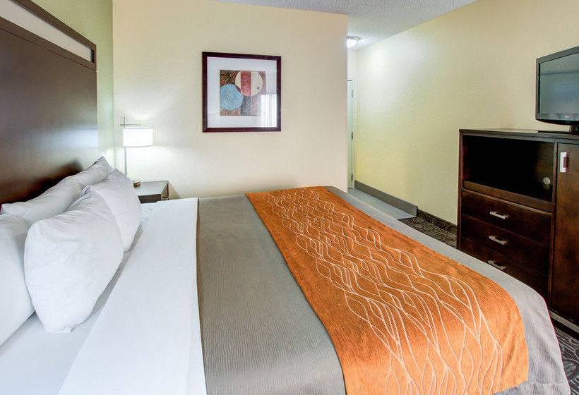 Hotel Comfort Inn Chandler  | Chandler | Arizona | United States 10