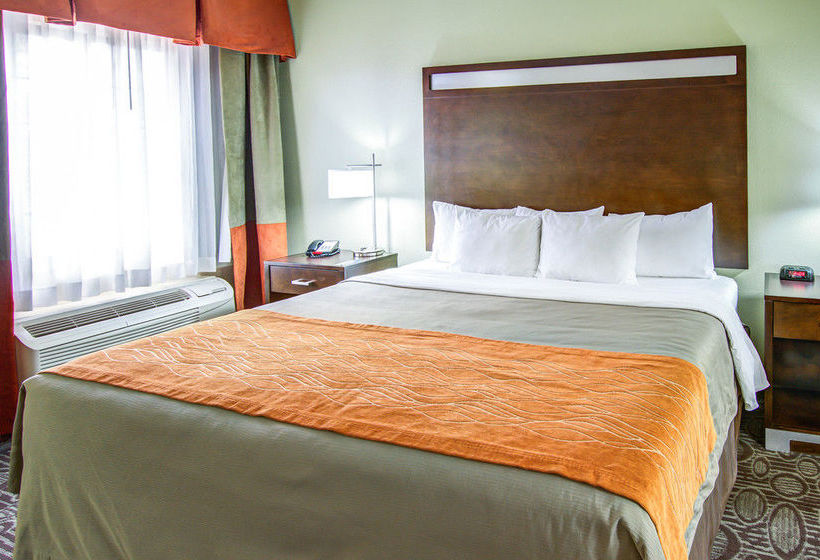 Hotel Comfort Inn Chandler  | Chandler | Arizona | United States 12
