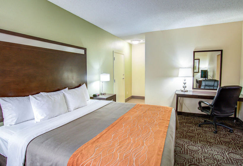 Hotel Comfort Inn Chandler  | Chandler | Arizona | United States 13