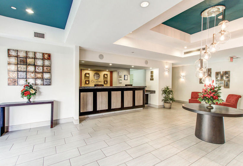 Hotel Comfort Inn Chandler  | Chandler | Arizona | United States 8