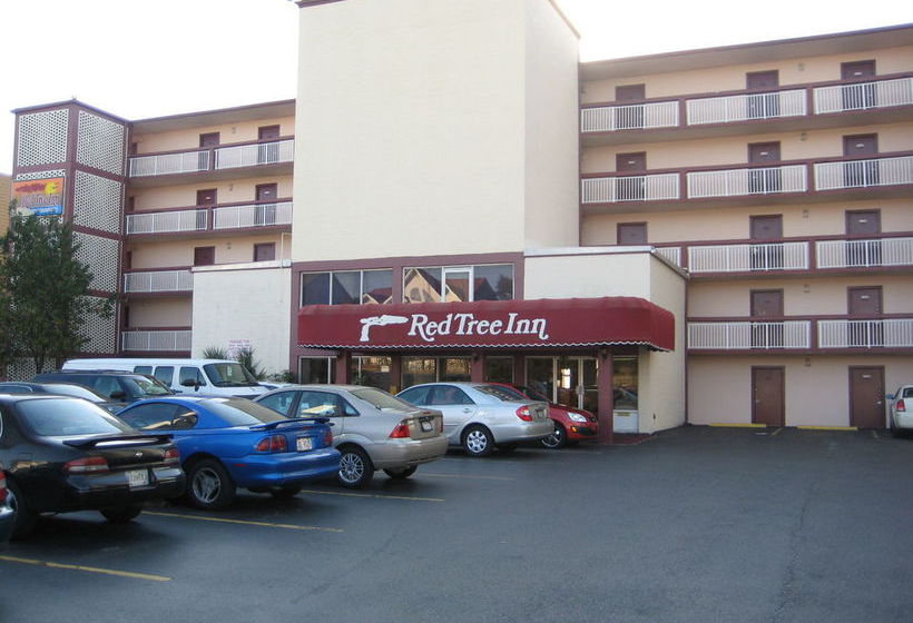 Hotel Red Tree Inn  | North Myrtle Beach | South Carolina | United States 1