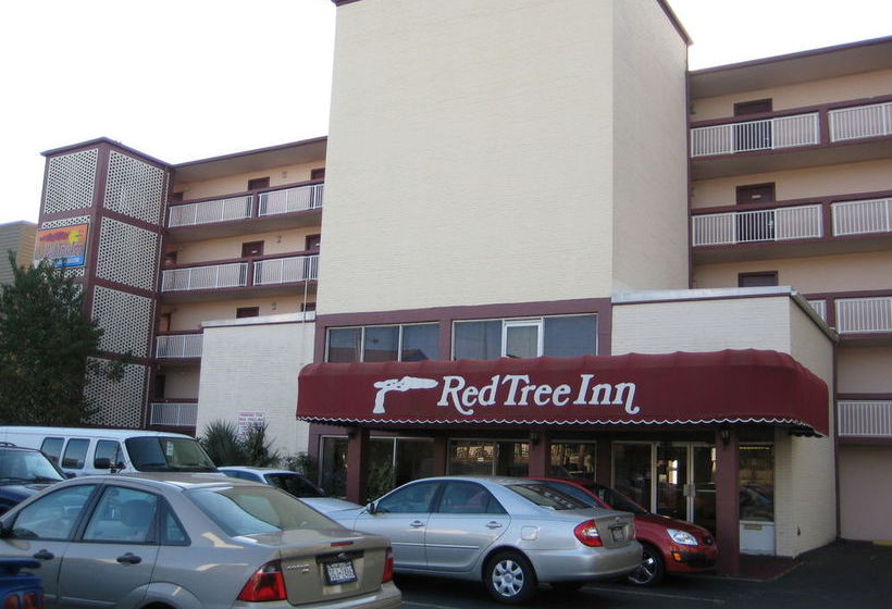 Hotel Red Tree Inn  | North Myrtle Beach | South Carolina | United States 12