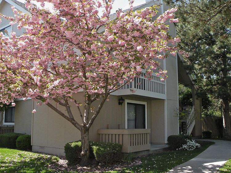 Residence Inn Boise Downtown 