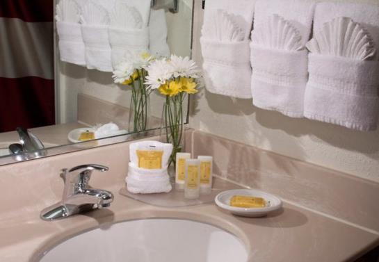 Residence Inn by Marriott  | Evansville | Indiana | United States 18