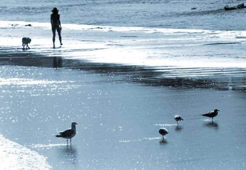 Residence Inn Portsmouth  | Portsmouth | New Hampshire | United States 4