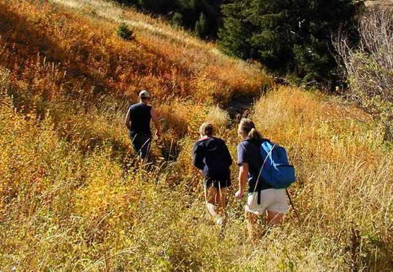 Residence Inn by Marriott Denver SW  | Lakewood | Colorado | United States 2