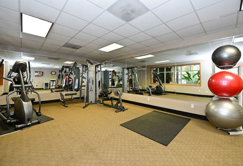 Quality Inn & Suites Seattle Hotel  | Seattle | Washington | United States 13