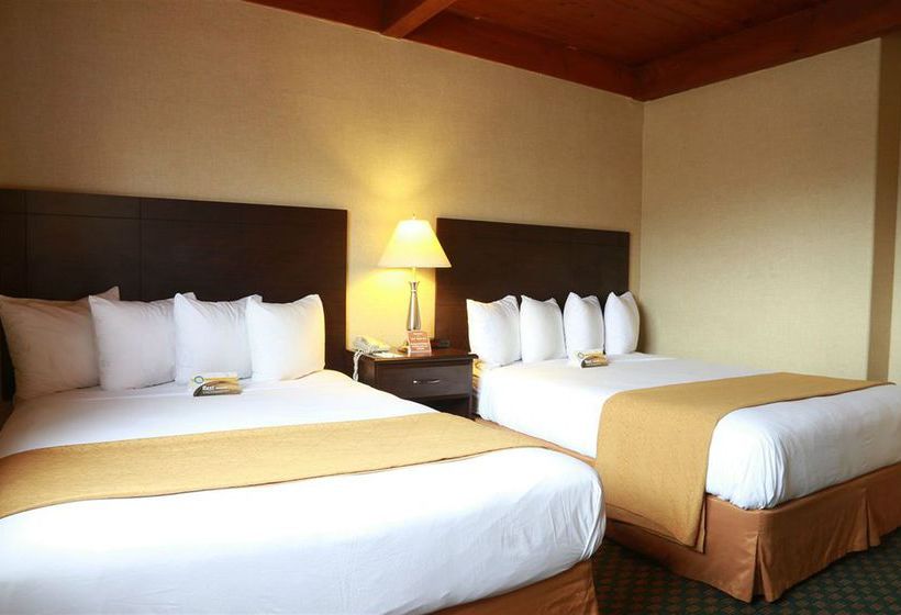 Quality Inn & Suites Seattle Hotel  | Seattle | Washington | United States 5