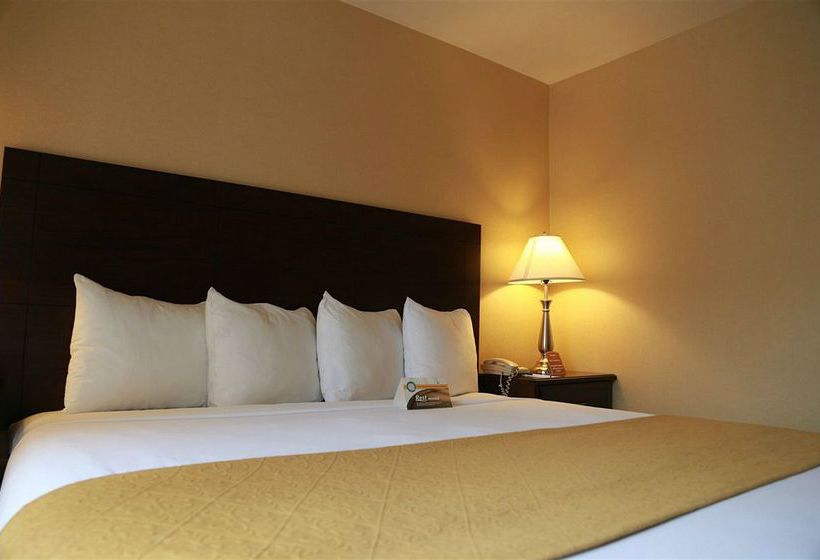 Quality Inn & Suites Seattle Hotel  | Seattle | Washington | United States 9