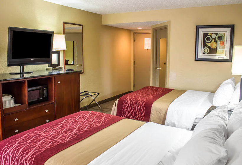 Hotel Comfort Inn  | Greensboro | North Carolina | United States 12