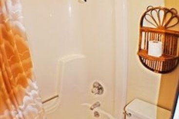 Bed and Breakfast Snow Queen Victorian Bed&Breakfast Lodge  | Aspen | Colorado | United States 9