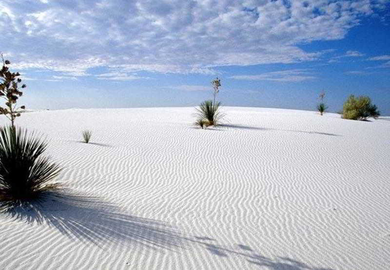 Hotel SpringHill Suites Las Cruces  | Las Cruces | New Mexico | Hotel negli Stati Uniti 18