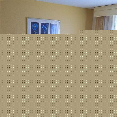 Hotel SpringHill Suites by Marriott  | Chesapeake | Virginia | United States 12