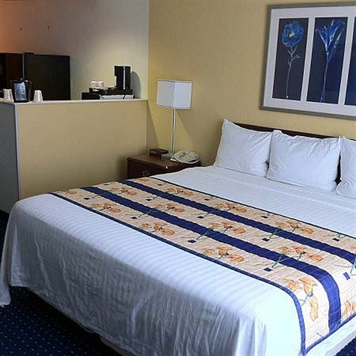 Hotel SpringHill Suites by Marriott  | Chesapeake | Virginia | United States 8