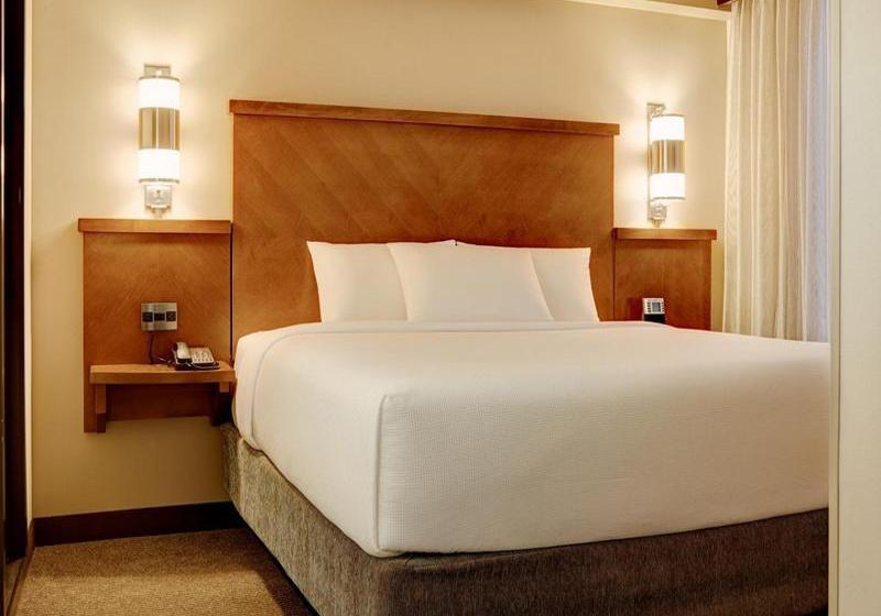 Hotel Hyatt Place Kansas City  | Kansas City | Missouri | United States 13