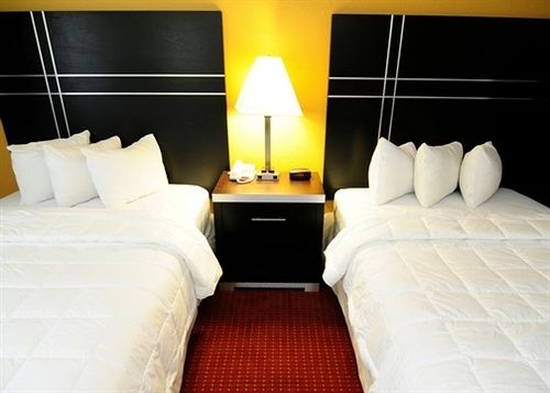 Hotel Quality Inn Chesapeake  | Chesapeake | Virginia | United States 7