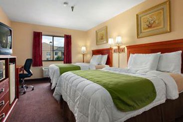 Motel Super 8 Georgetown  | Georgetown | Kentucky | United States 5