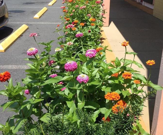 Super 8 Motel  | Harrisburg | Pennsylvania | United States 17