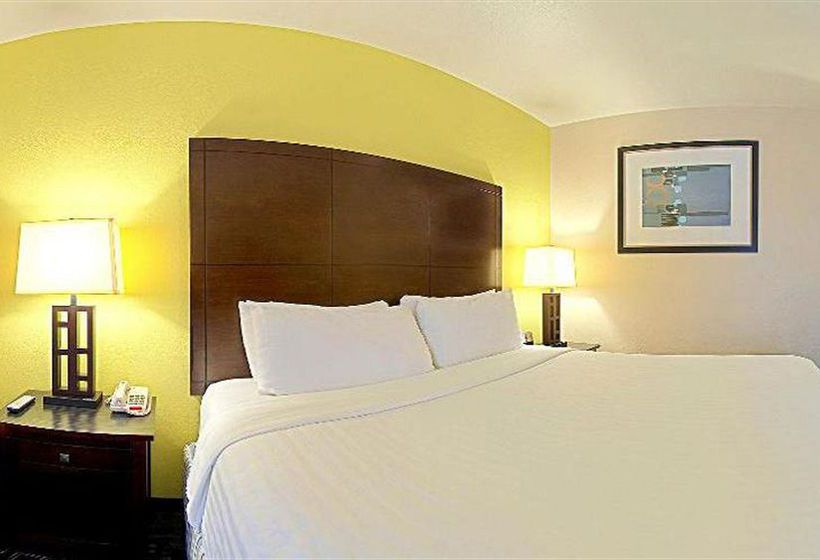 Hotel Super 8 Irving DFW Airport South  | Irving | Texas | United States 1