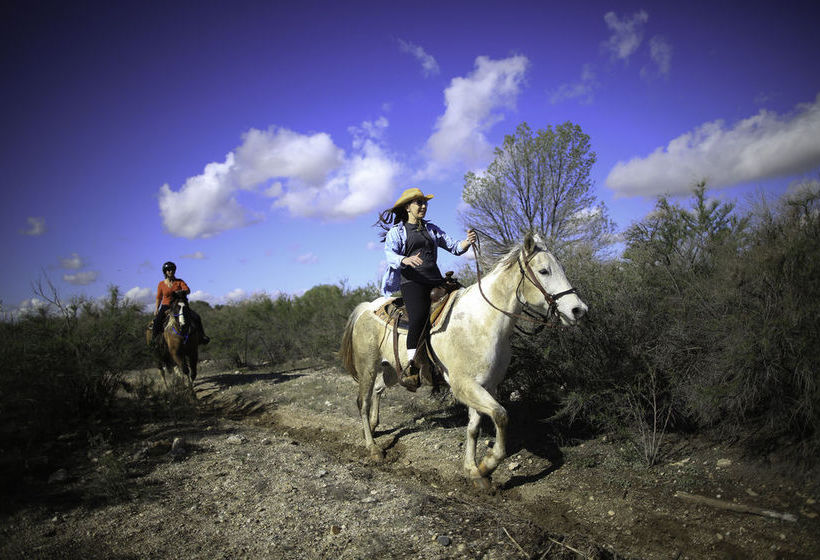 Hotel Tanque Verde Ranch  | Tucson | Arizona | United States 5