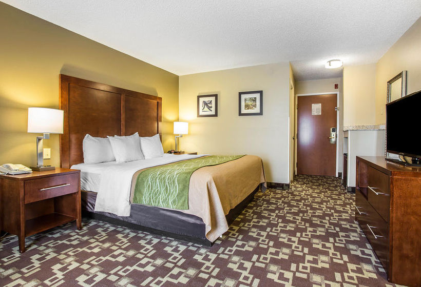 Hotel Comfort Inn & Suites Walterboro  | Walterboro | South Carolina | United States 18