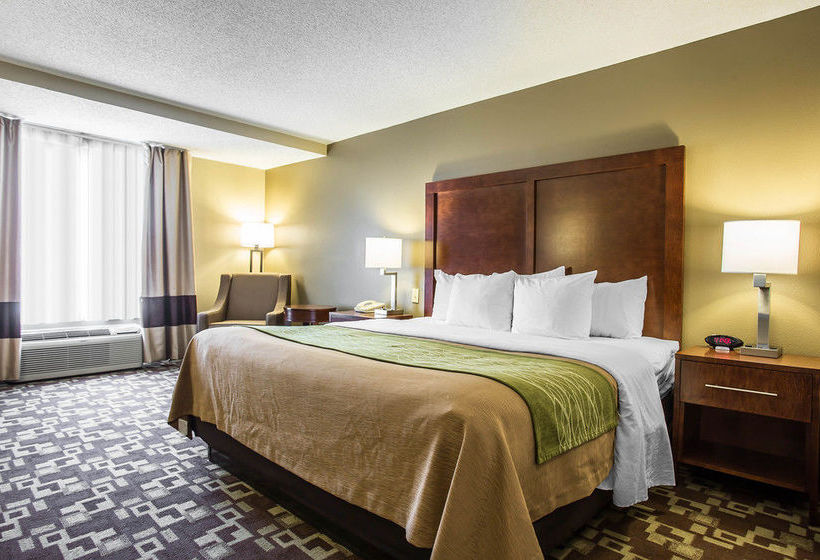Hotel Comfort Inn & Suites Walterboro  | Walterboro | South Carolina | United States 19