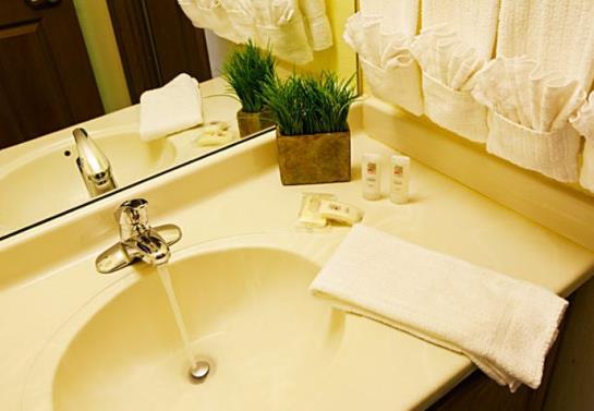 Hotel TownePlace Suites by Marriott  | Eden Prairie | Minnesota | United States 16