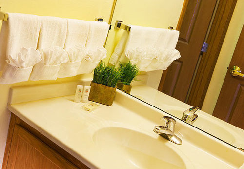 Hotel TownePlace Suites Milwaukee Brookfield  | Brookfield | Wisconsin | United States 11