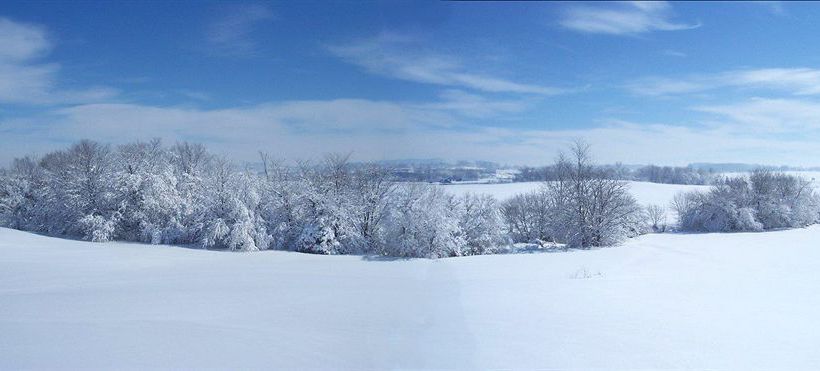 Hotel Village Inn  | Harrisonburg | Virginia | United States 5