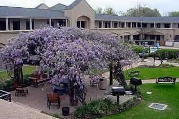 Hotel Vineyard Court Executive Suites  | College Station | Texas | United States 19