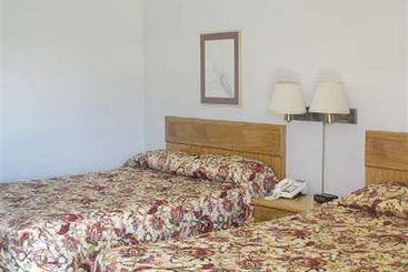 Hotel Cedar Tree Inn & Suites  | Chesapeake | Virginia | United States 4